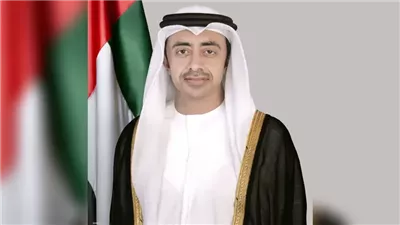 عبدالله بن زايد: الوضع في غزة بلغ مرحلة حرجة وغير مسبوقة