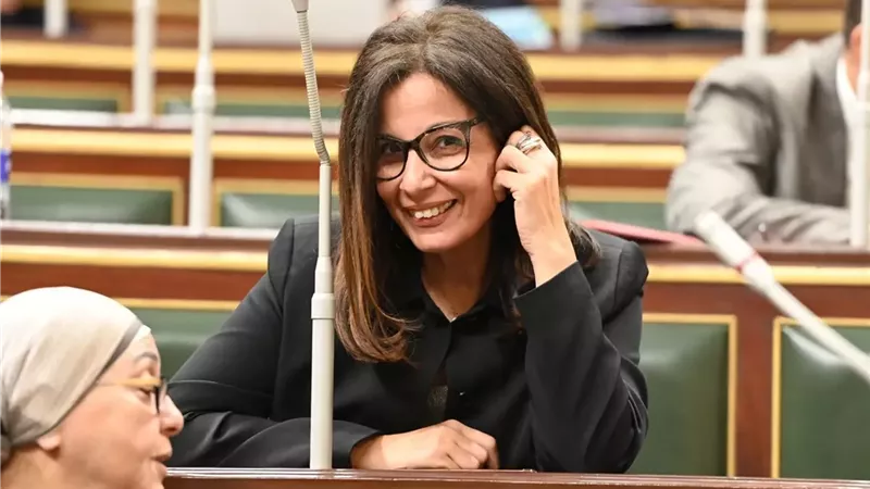 وزير الثقافة الدكتورة جيهان زكي