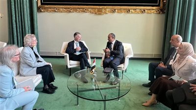 وزير الخارجية يستعرض جهود مصر لدعم القضية الفلسطينية لمجموعة الحكماء