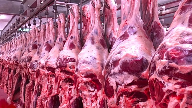 أسعار اللحوم اليوم