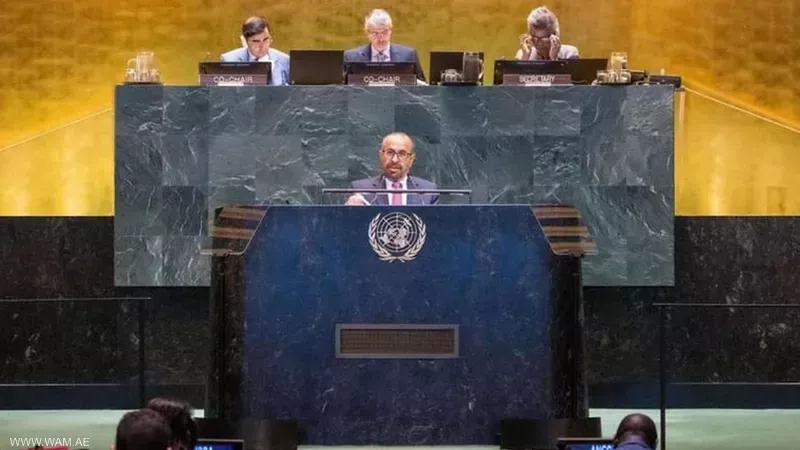 وزير الدولة في وزارة الخارجية الإماراتية، خليفة شاهين المرر