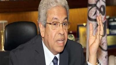 عبد المنعم سعيد: مصر ستكمل برنامجها الوطني مهما كانت الضغوط 