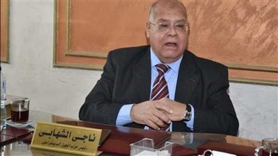 الشهابي: نستحضر بناء الدولة الحديثة ونقارن التحديات في ذكرى رحيل عبد الناصر