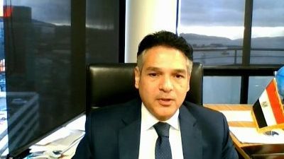 من ويلنجتون.. السفير المصري يؤكد انطلاق تصويت مجلس الشيوخ بالخارج