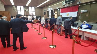 «القاهرة الإخبارية»: الجالية المصرية بـ «أثينا» تشارك وبقوة في التصويت بانتخابات الشيوخ 2025