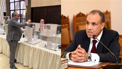 وزير الخارجية: التصويت بانتخابات مجلس الشيوخ 2025 حق مكفول لكل مواطن 