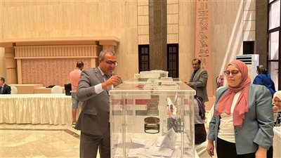 انتخابات الشيوخ 2025.. السفير علاء موسى: يشيد بوعي المصريين في لبنان 
