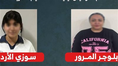 التريند خلص في القسم.. بلوجرز تحت طائلة القانون بسبب فيديوهات مسيئة إنفو 