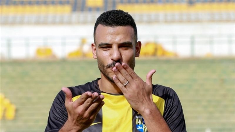 شكري نجيب