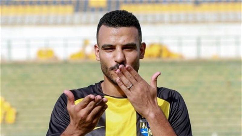 شكري نجيب