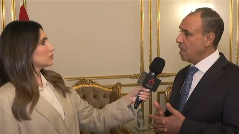 وزير الخارجية للدكتور بدر عبد العاطي 