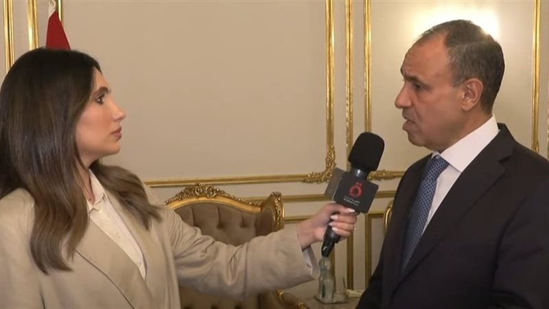 الدكتور بدر عبد العاطي وزير الخارجية