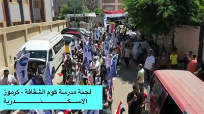رافعين الأعلام.. شاهد احتشاد المئات أمام لجان انتخابات الشيوخ بالإسكندرية 