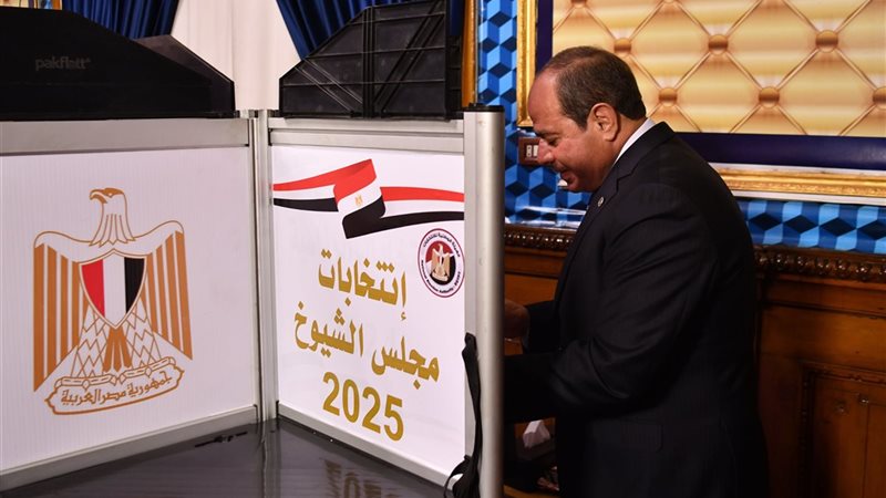 الرئيس السيسي 