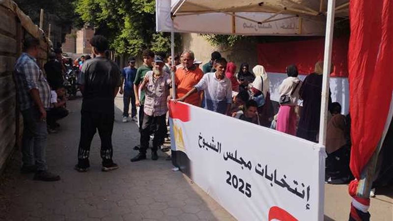 انتخابات مجلس الشيوخ 2025