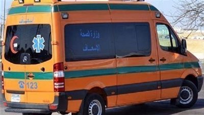 مصرع لص أثناء محاولة سرقة شقة في الطالبية.. تفاصيل