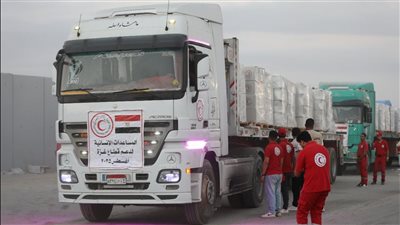 لليوم الثامن.. «زاد العزة» تدفع بـ300 شاحنة مساعدات عاجلة للأشقاء بالقطاع (فيديو)