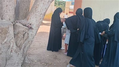 انتظام العملية الانتخابية في لجان أسوان بثاني أيام انتخابات مجلس الشيوخ 2025