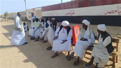 المحافظات الحدودية.. إقبال كبير على التصويت في انتخابات مجلس الشيوخ 2025