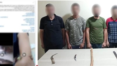خلافات الجيرة تدفع 7 أشخاص للتشاجر وأمن البحيرة يضبط المتهمين