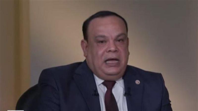 القاضى حازم بدوى