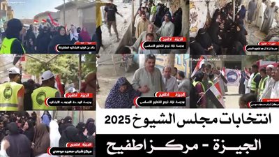 انتخابات الشيوخ 2025.. المصريون يملؤون لجان الاقتراع حبًا في الوطن بالجيزة 