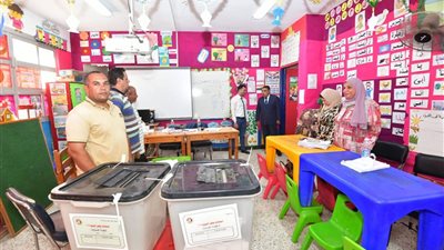 محافظ الدقهلية يحيل مديرة الإدارة الصحية بأجا للتحقيق | تفاصيل