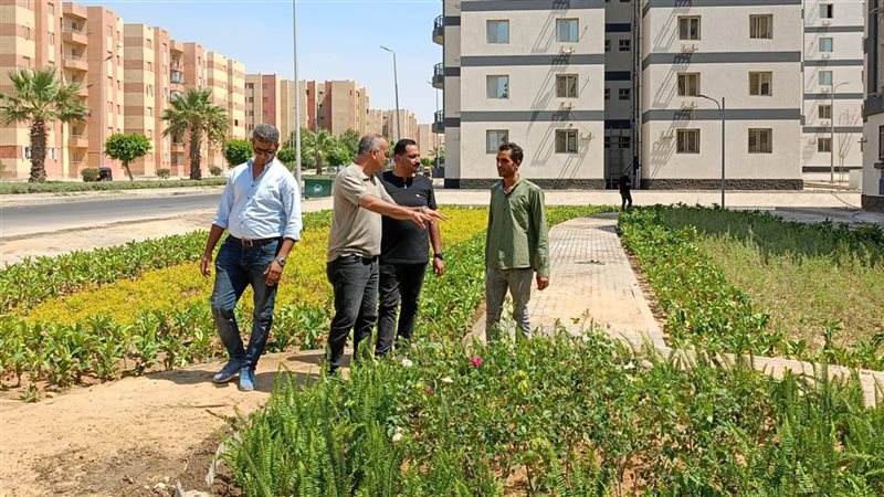 التشجير في مدينة بدر
