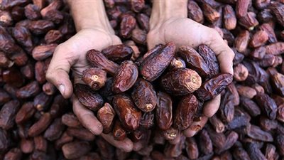 ٣.٣ مليار دولار صادرات غذائية مصرية في أول 6 أشهر من 2025