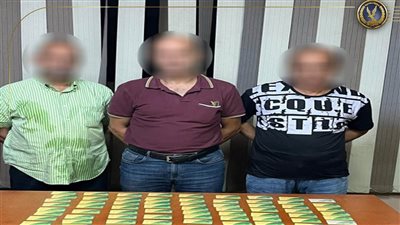 بطاقات وهمية وأرباح بالملايين.. سقوط عصابة الاستيلاء على الدعم التمويني
