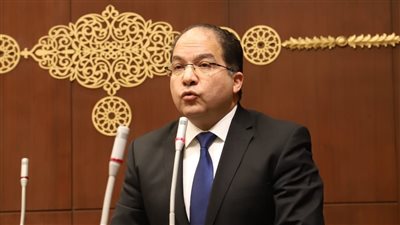 عضو مجلس الشيوخ: خطة احتلال غزة جريمة دولية تستهدف تصفية القضية الفلسطينية