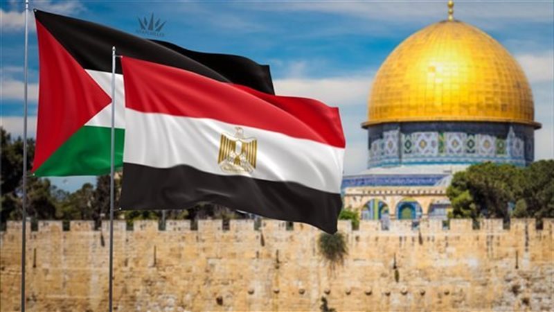 موقف الدولة المصرية تجاه القضية تاريخي وثابت