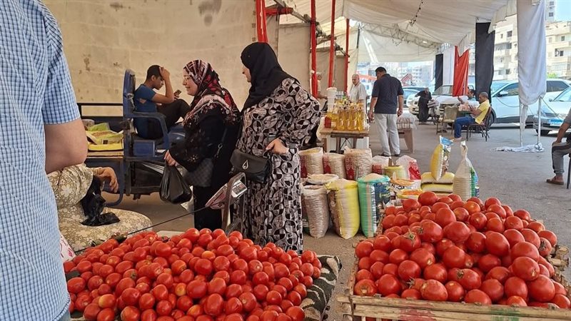 جانب من الفعاليات 