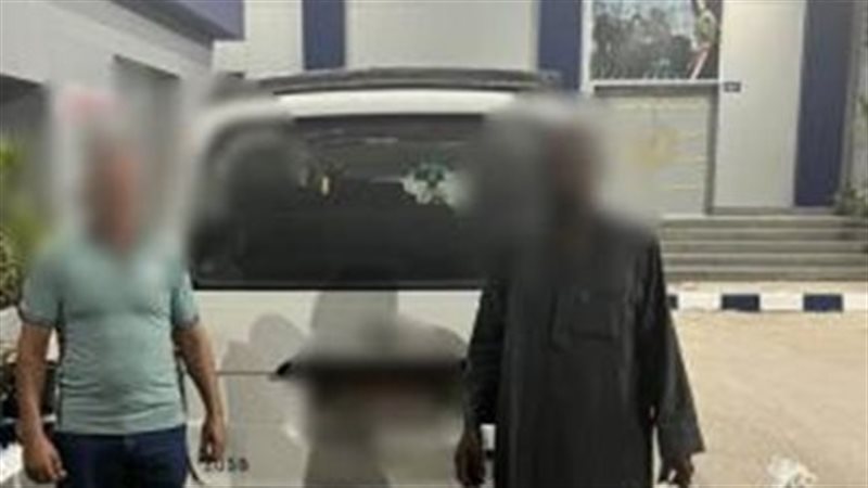 سائق السيارة، العامل 