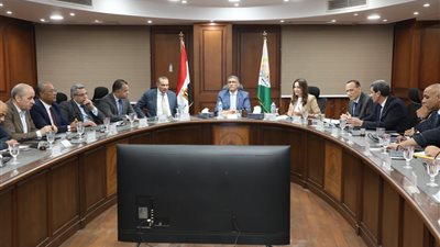 محافظ الجيزة يترأس اجتماع لجنة مشروع تطوير «الكيت كات»