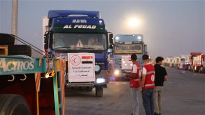 الدفع بأكثر من 112 ألف سلة غذائية في قافلة «زاد العزة»