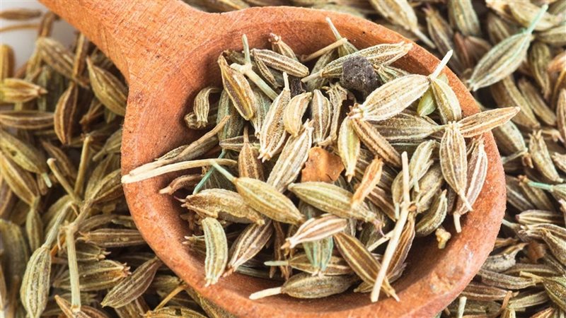 اليانسون 