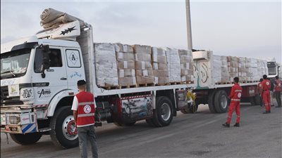 الهلال الأحمر المصري يدفع بنحو 220 شاحنة في قافلة «زاد العزة» إلى غزة