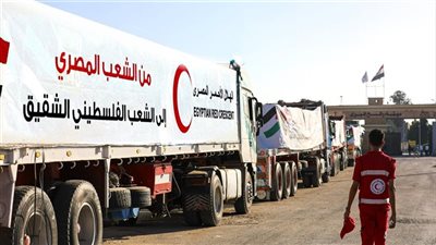 141 شاحنة مساعدات تعبر إلى غزة ضمن القافلة الخامسة لمبادرة 
