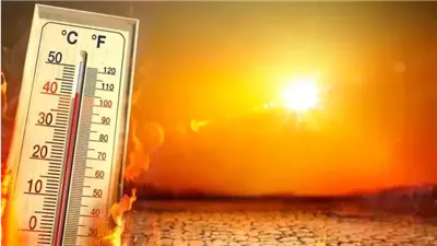 درجة الحرارة تصل الـ49.. الأرصاد تحذر من طقس اليوم الخميس