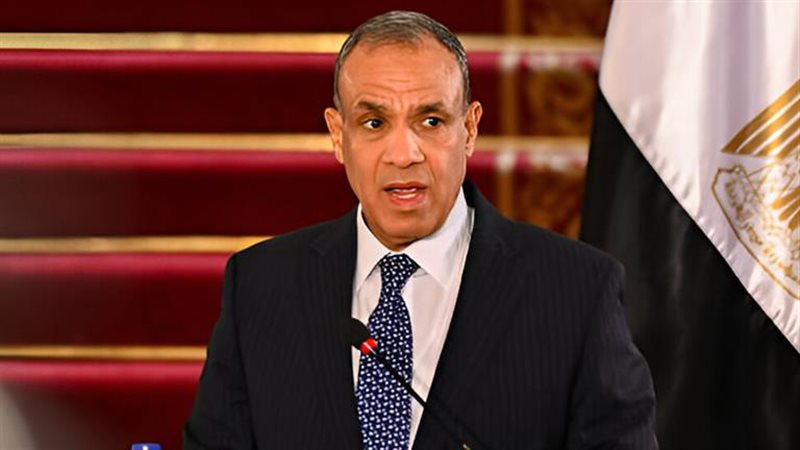بدر عبد العاطي وزير الخارجية