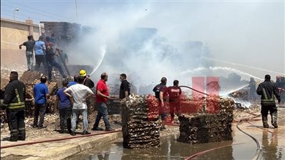 قرارات عاجلة من النيابة بشأن حريق مصنع الكرتون بمدينة بدر