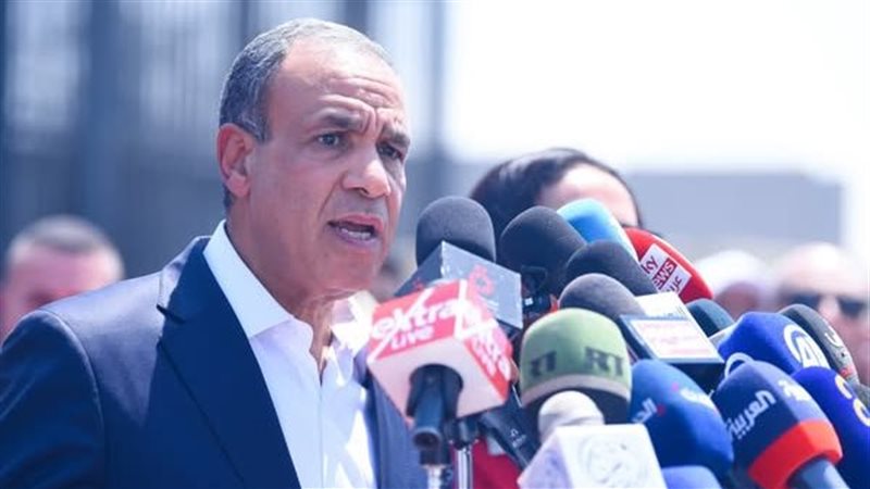 بدر عبد العاطى وزير الخارجية