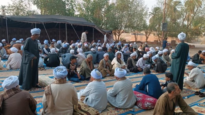 قبيلة الرشايدة