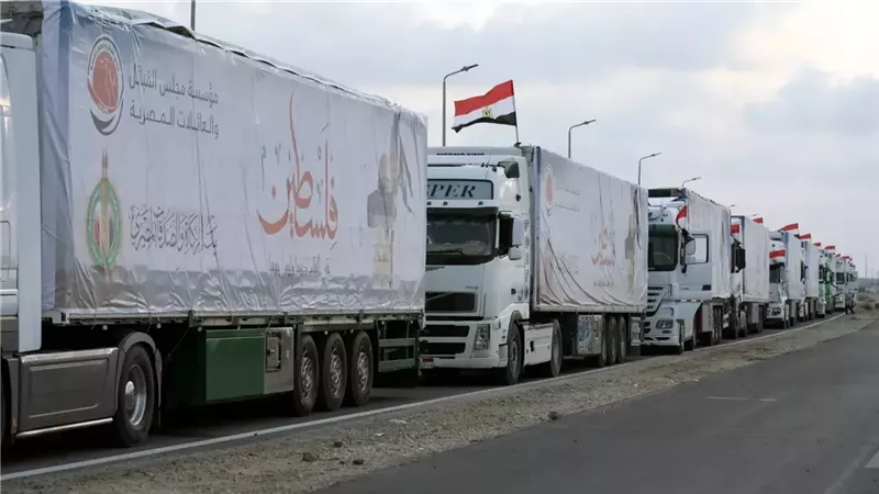 مساعدات إلى غزة 