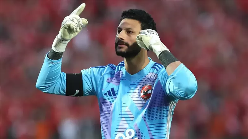 محمد الشناوي