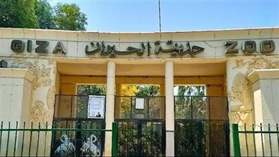 مفاجآت في انتظار الزوار مع النسخة المطورة لحديقة الحيوان بالجيزة