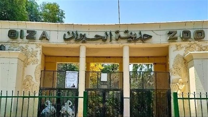 مفاجآت بانتظار الزوار مع النسخة المطورة لحديقة الحيوان الجيز