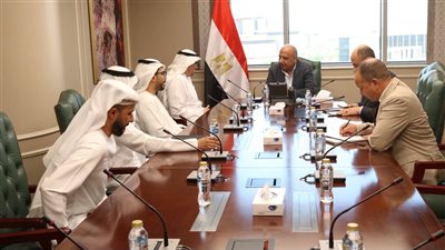 تعاون مصري - إماراتي في مشروعات الطاقة المتجددة وخفض الاعتماد على الوقود