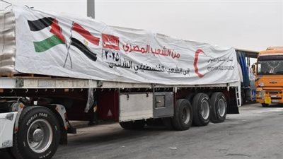 إطلاق زاد العزة 21 بحمولة 3500 طن حياة إلى غزة
